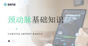 教学-颈动脉基础知识